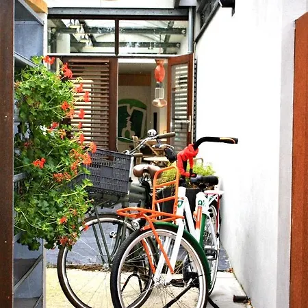 Close To Campus